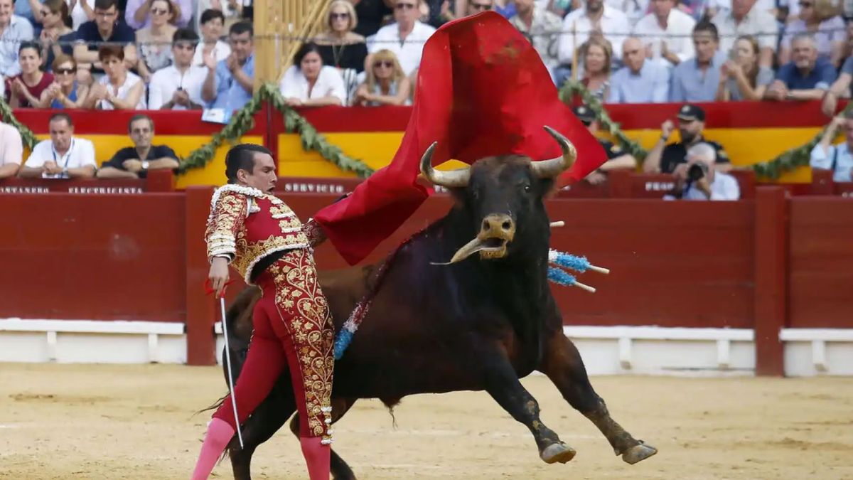 Bullfighting Valencia 2025 - Jos\u00e9 Mar\u00eda Manzanares, Roca Rey & Tom\u00e1s Rufo