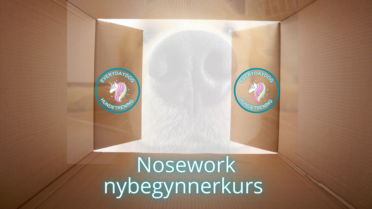 Nosework nybegynnerkurs - helg 