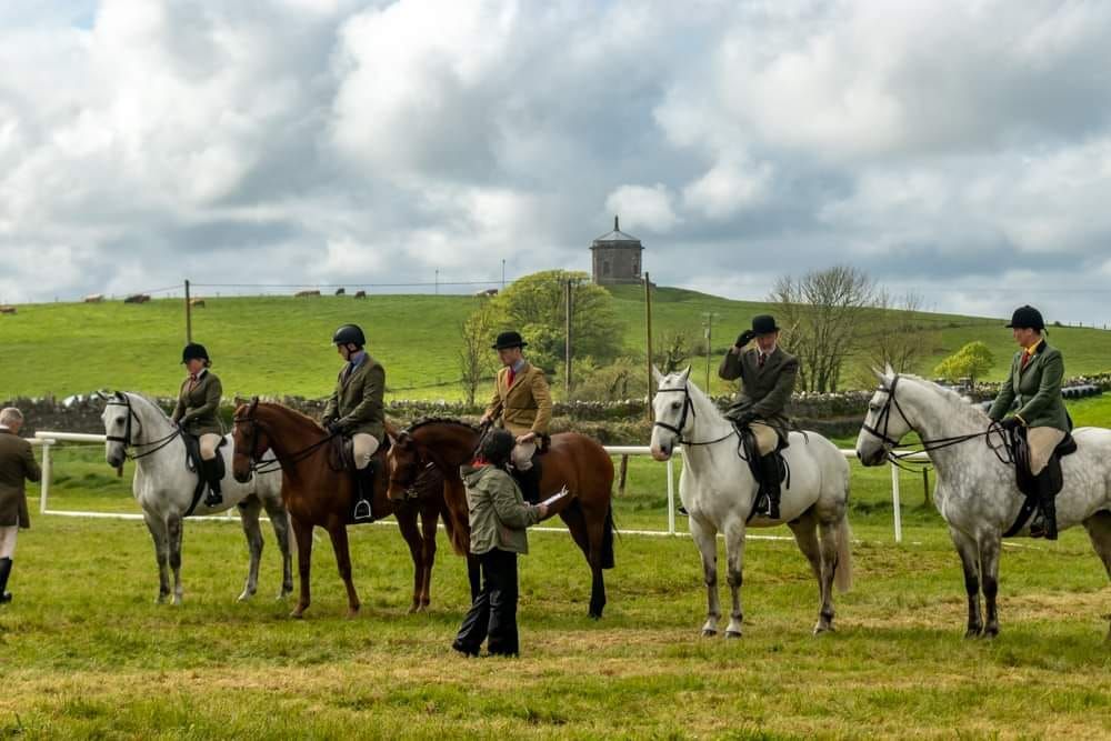 Newmarket on Fergus Agricultural Show