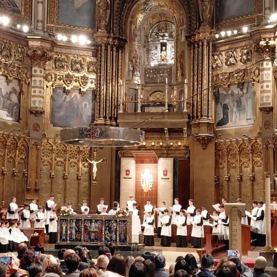 Visita guiada a Montserrat con todo incluido en grupo compartido desde Barcelona, \u200b\u200bcon transporte privado y recogida en el hotel