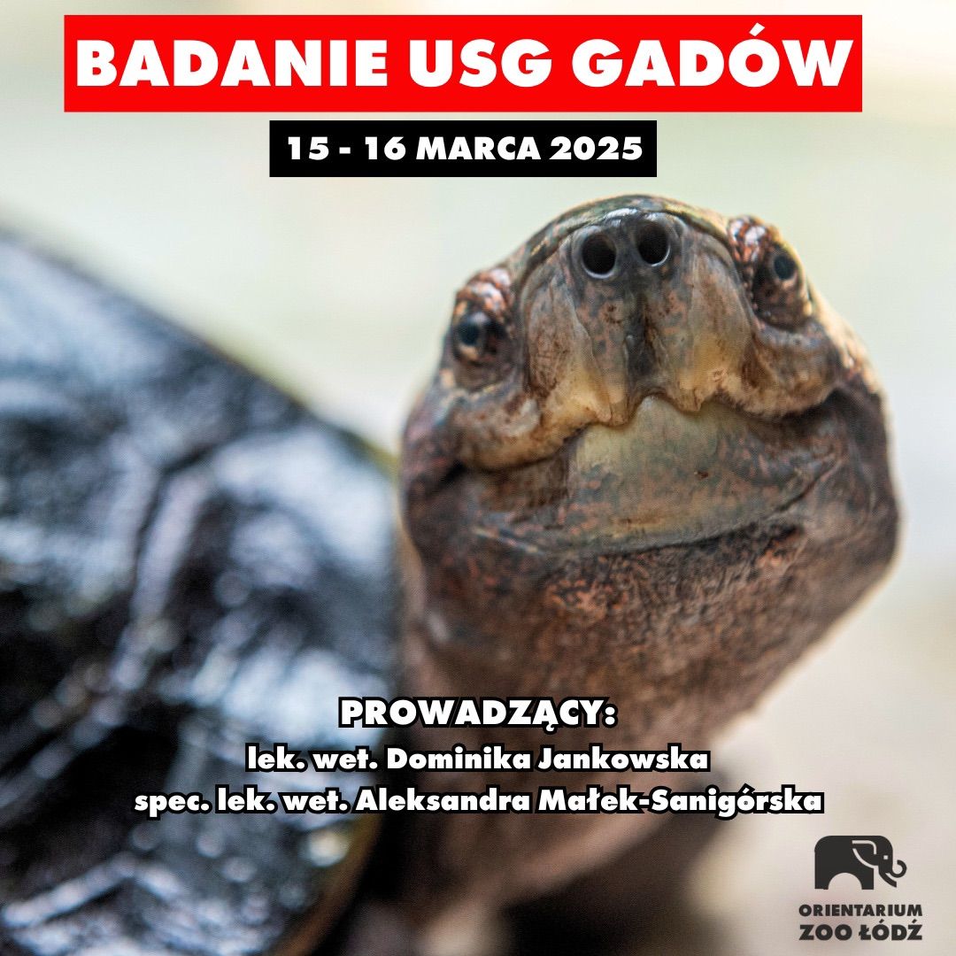 Warsztaty weterynaryjne - Badanie USG gad\u00f3w w Orientarium Zoo \u0141\u00f3d\u017a