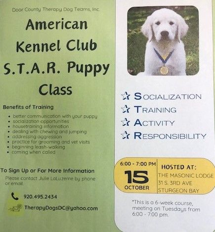 AKC S.T.A.R Puppy Class