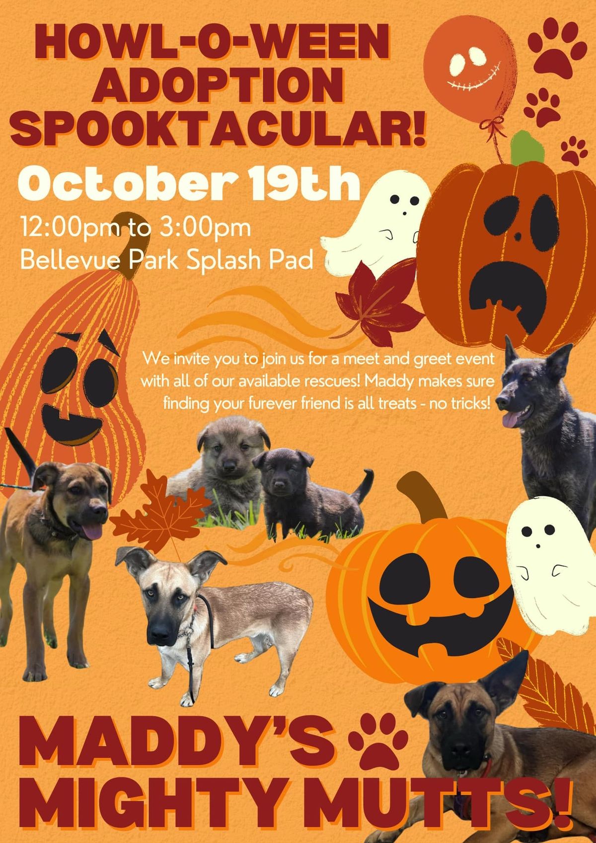 Howl-o-ween Adoption Spooktacular 