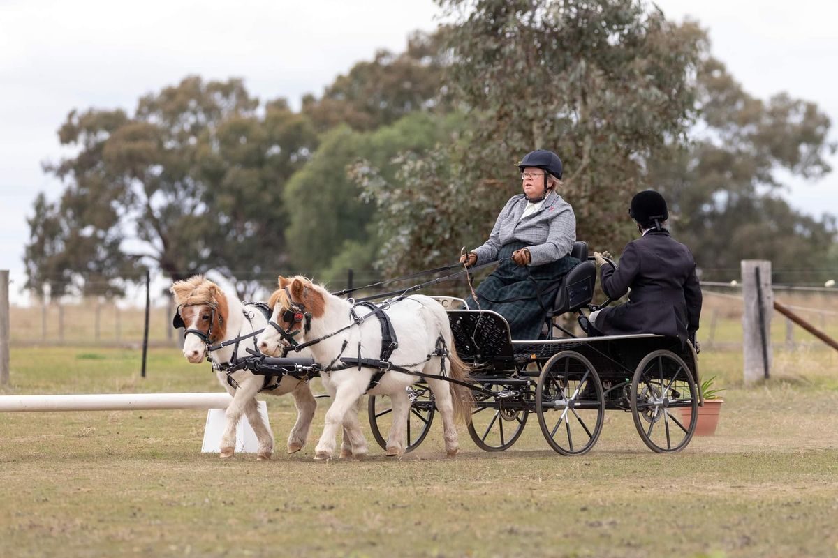 2025 Graded Driven Dressage Qualifier - hosted by Central Highlands Pleasure Harness Club