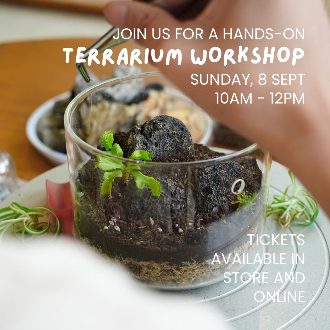 Terrarium Workshop