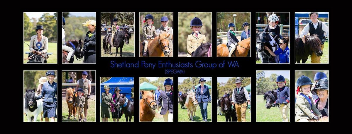 33rd All Shetland Show 