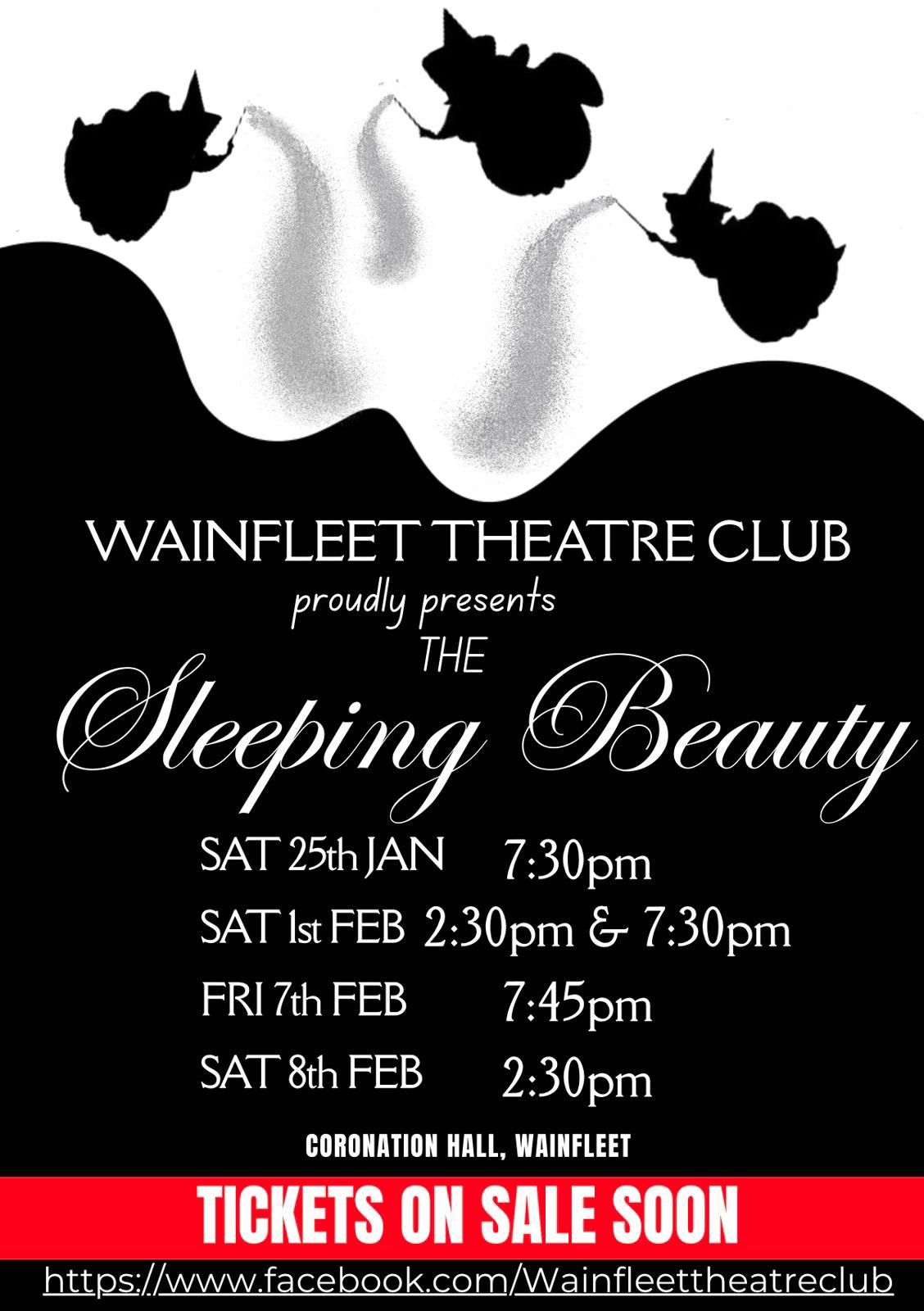 Wainfleet Theatre Club's 2025 Pantomime: Sleeping Beauty