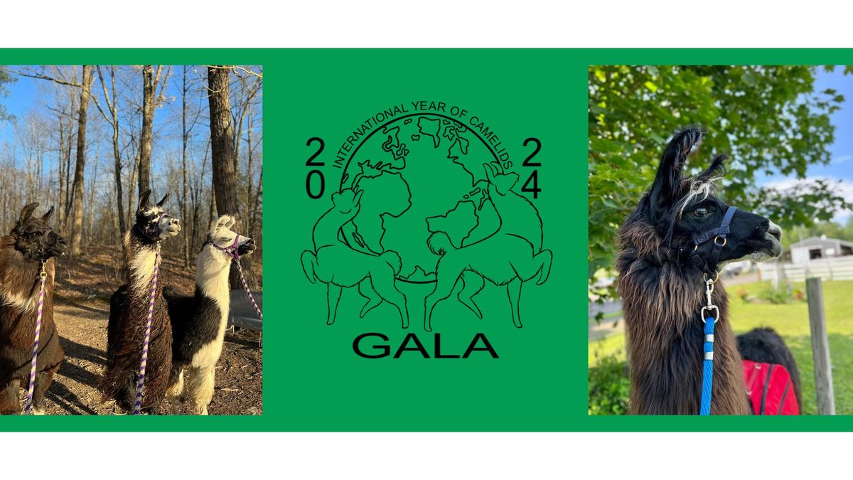 2024 GALA Conference - Educational Camelid Conference