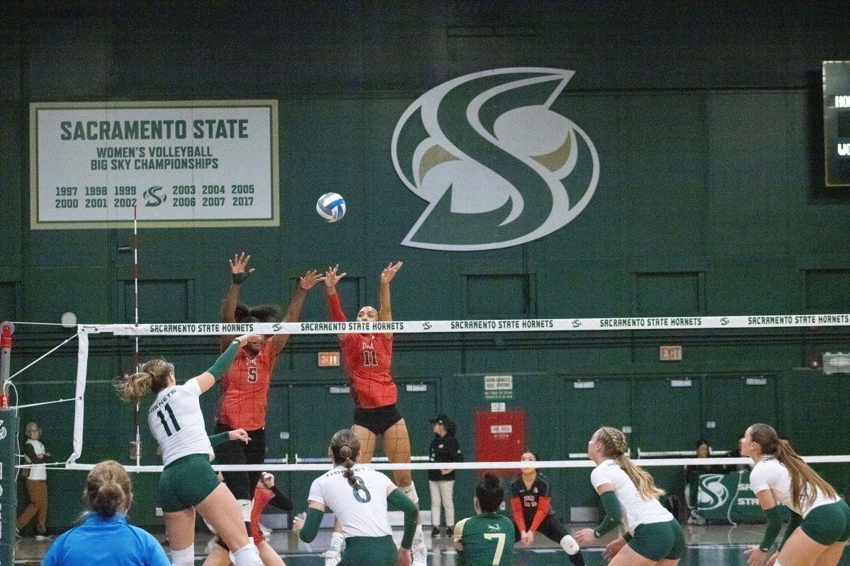 Sacramento State Hornets at Northern Colorado Bears Womens Volleyball at Bank of Colorado Arena at Butler-Hancock Athletic Center