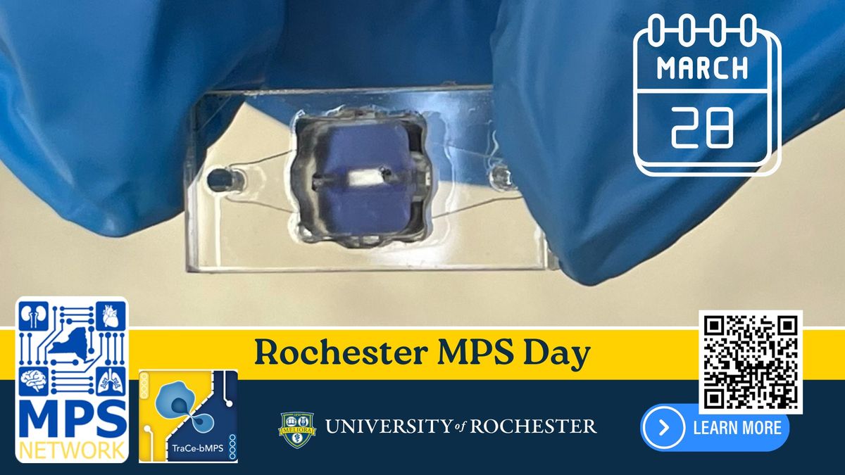 Rochester MPS Day