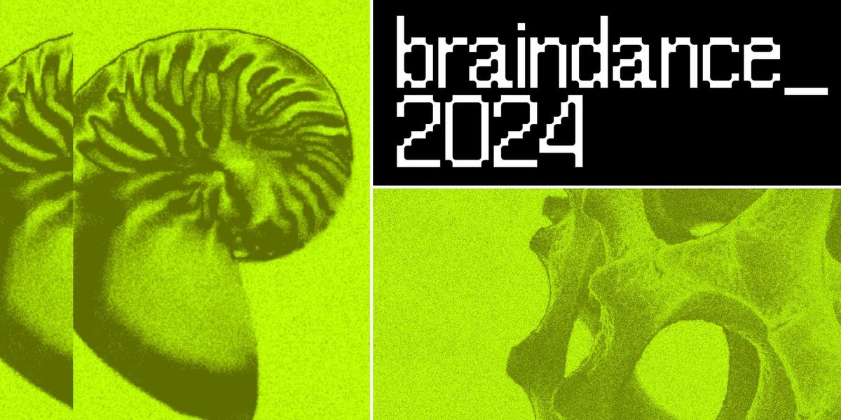 braindance_2024 \ud83e\udde0 