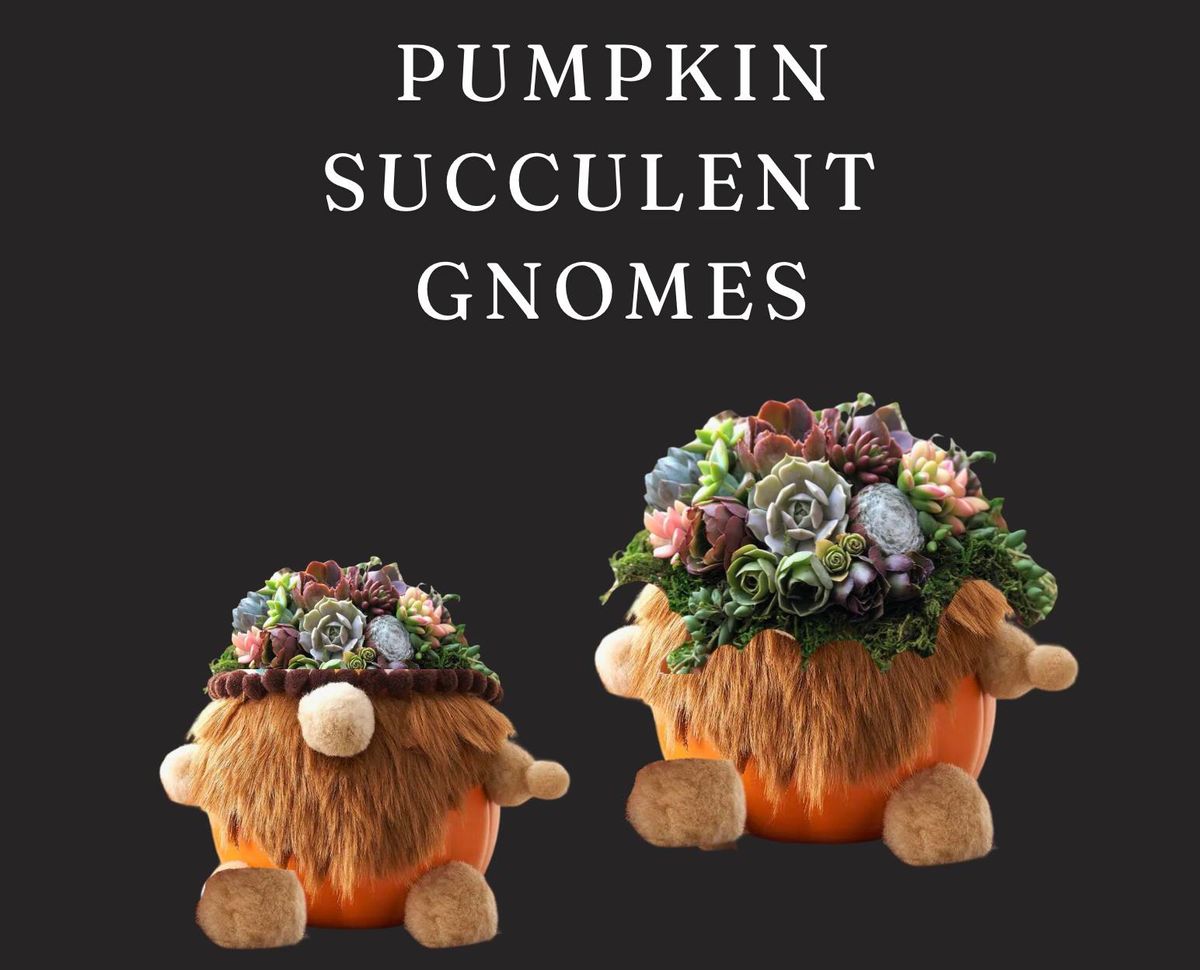 Pumpkin Succulent Gnome 