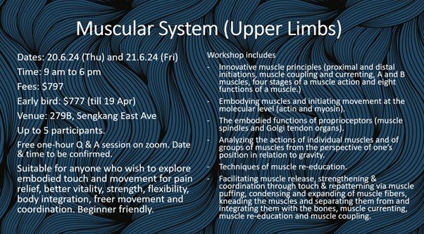 Somatic Movement Education Workshop on Muscular System (Upper Limbs)