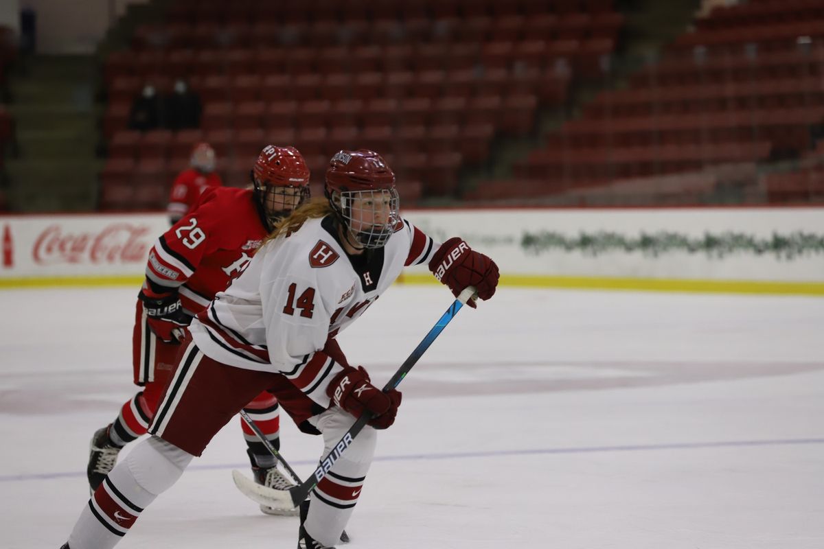 Harvard Crimson at Princeton Tigers Womens Hockey