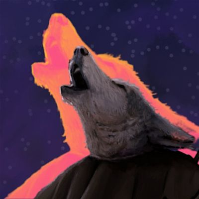 Fort-Knight Adventures