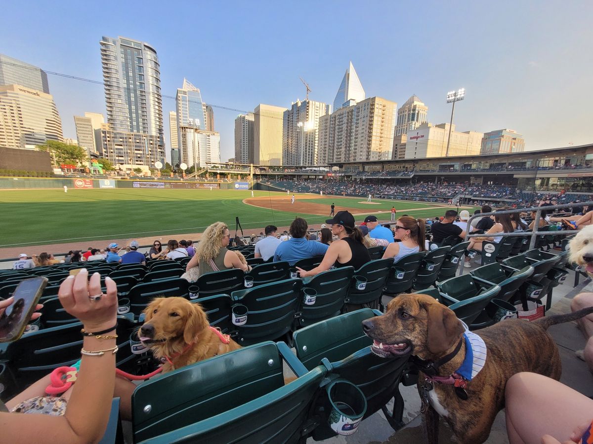 Paws Social Club at Bark in the Park