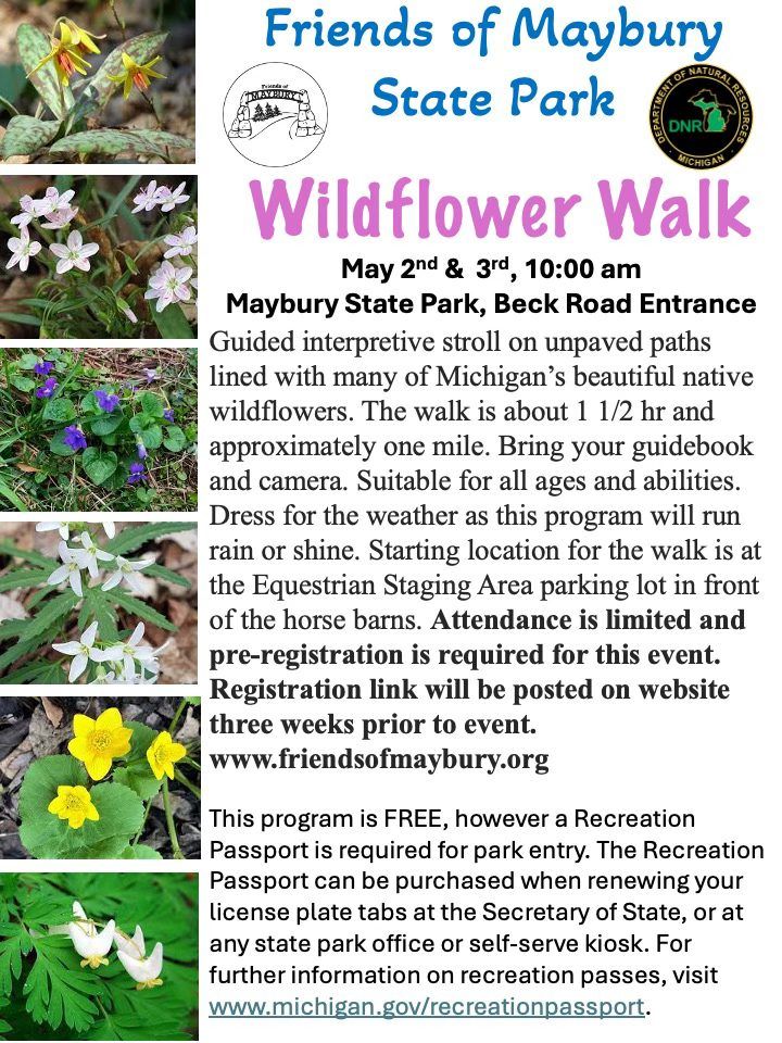 Wildflower Walk