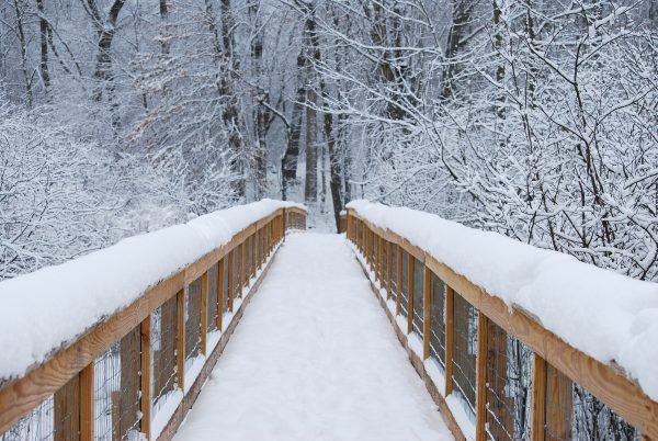 Winter Solstice Hike @ Lydick Bog 