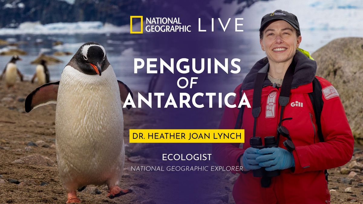 National Geographic Live - Penguins of Antarctica with Dr. Heather Lynch