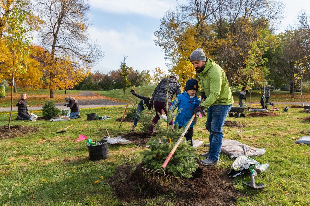 Activit\u00e9 de plantation au bois\u00e9 du parc Thomas-Chapais *MODIFI\u00c9*