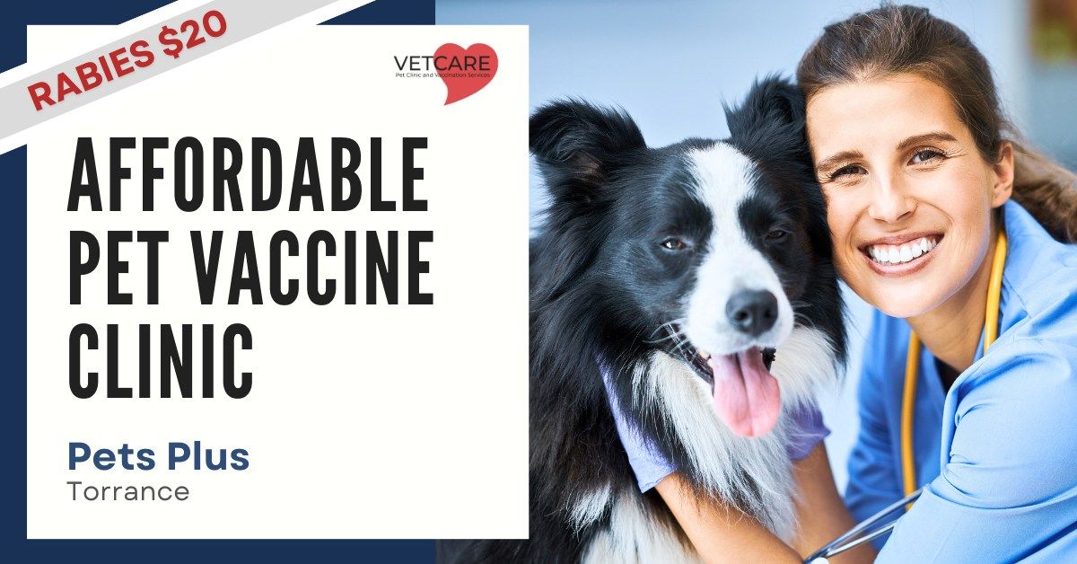 Affordable Pet Vaccine Clinic - Pets Plus Torrance