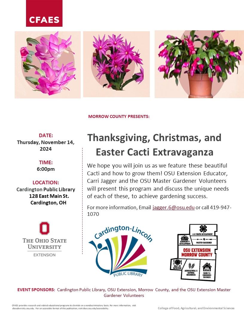 Thanksgiving, Christmas, and Easter Cacti Extravaganza