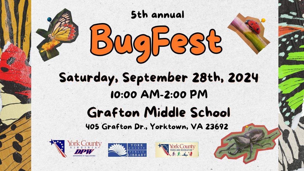 BugFest 2024, Grafton Middle School, Seaford, 28 September 2024