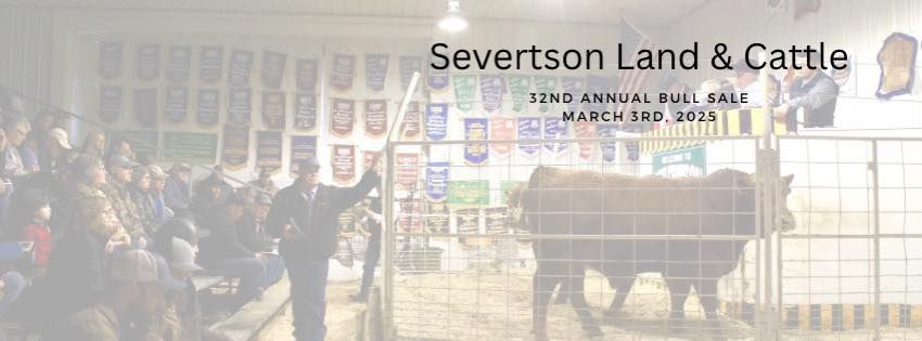 32nd Annual Severtson Bull Sale