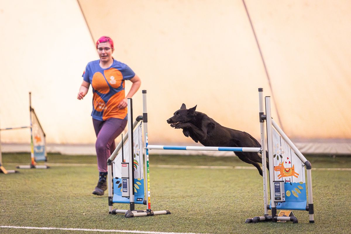 Wiosenny kurs agility dla pocz\u0105tkuj\u0105cych - WTORKI 19:00