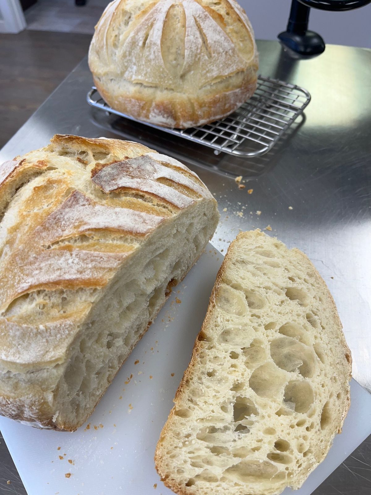 Sourdough Basics-Nov. 17