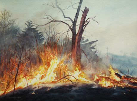 Artisan Academy: Ye Wang - Prairie Fire Watercolor Workshop 