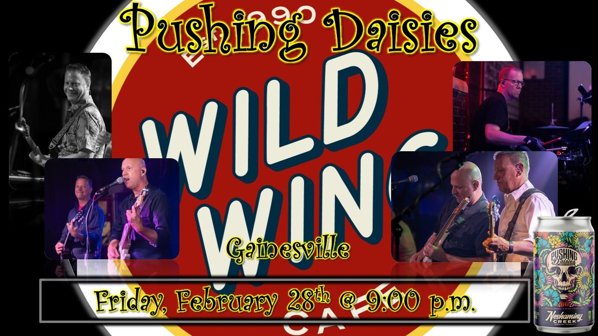 Pushing Daisies LIVE at Wild Wing Cafe' (Gainesville)