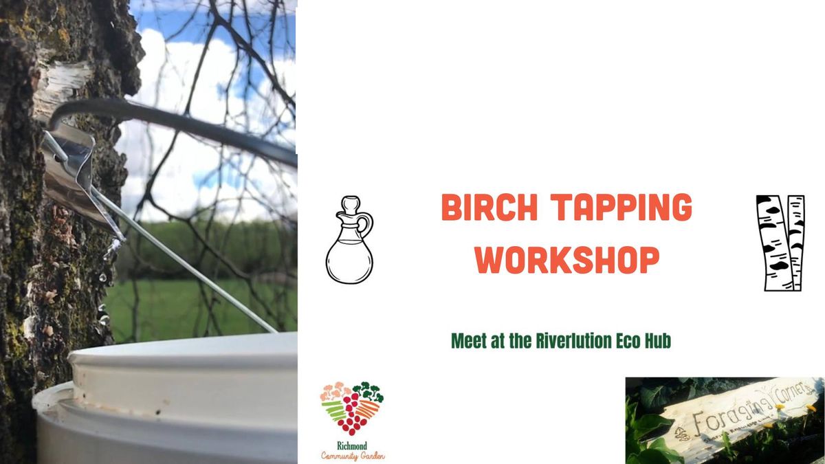 Zero Waste Birch Tapping Workshop