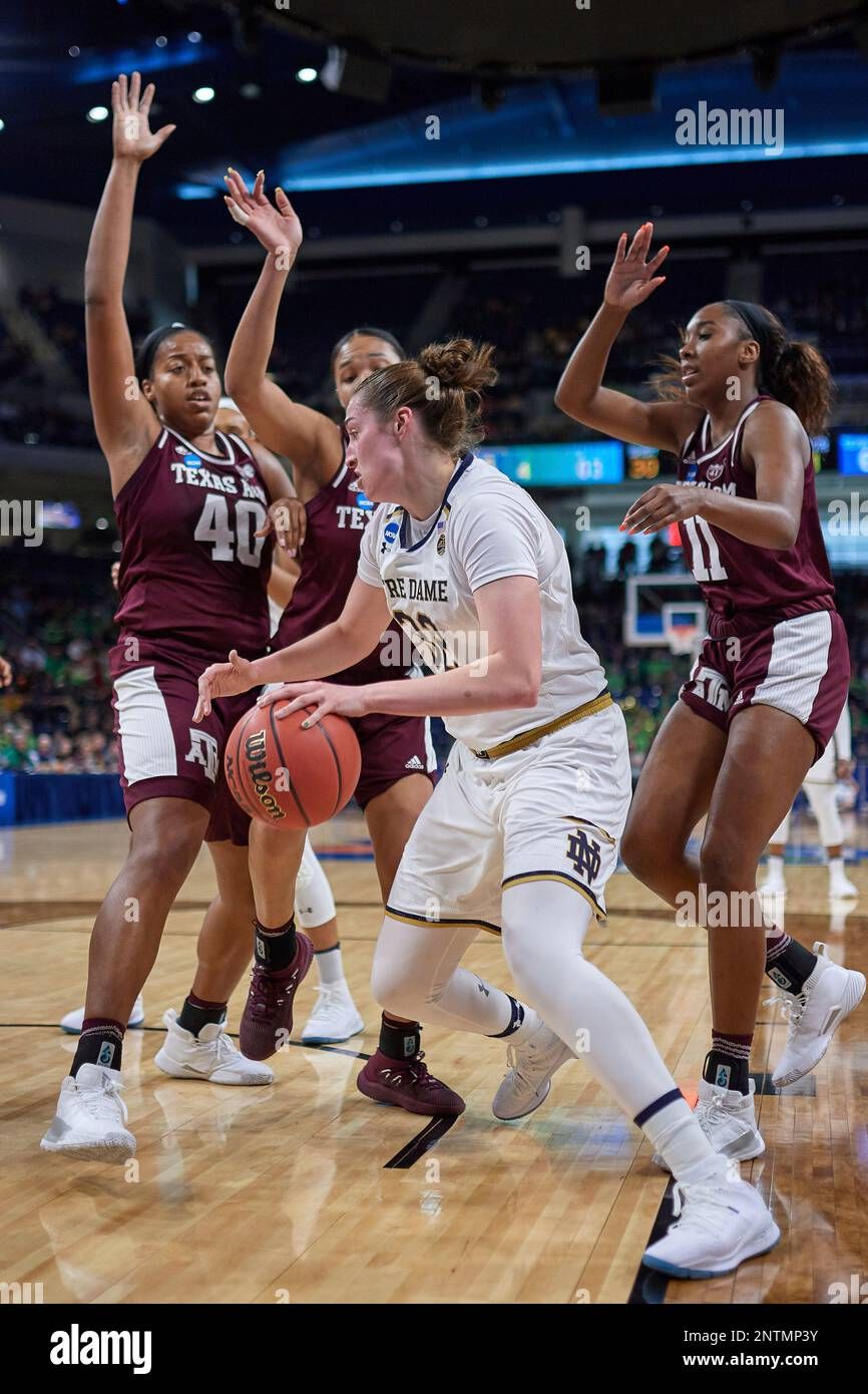 Notre Dame Fighting Irish at Texas A&M Aggies