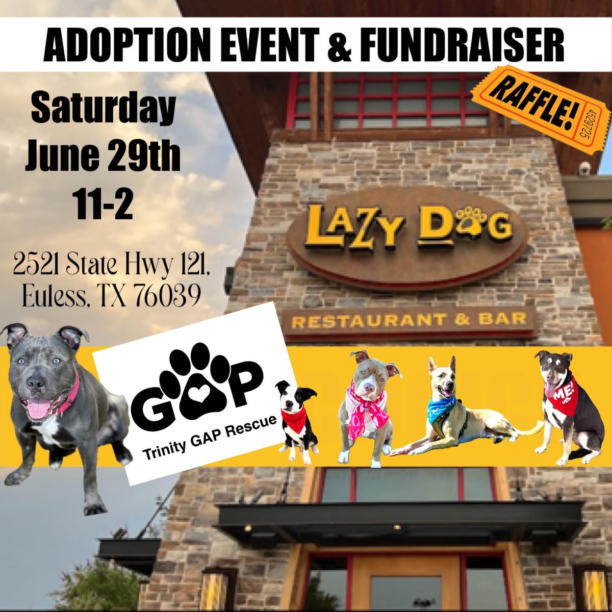 Dog adoption & Fundraiser 