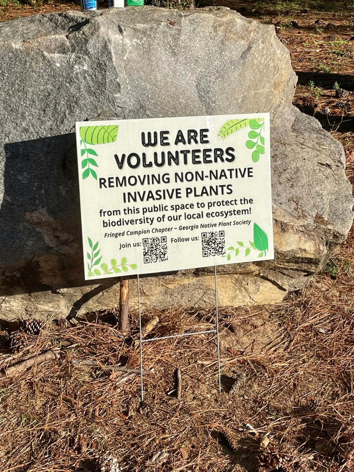 Removal of Non-Native Invasive Plants at Amerson River Park