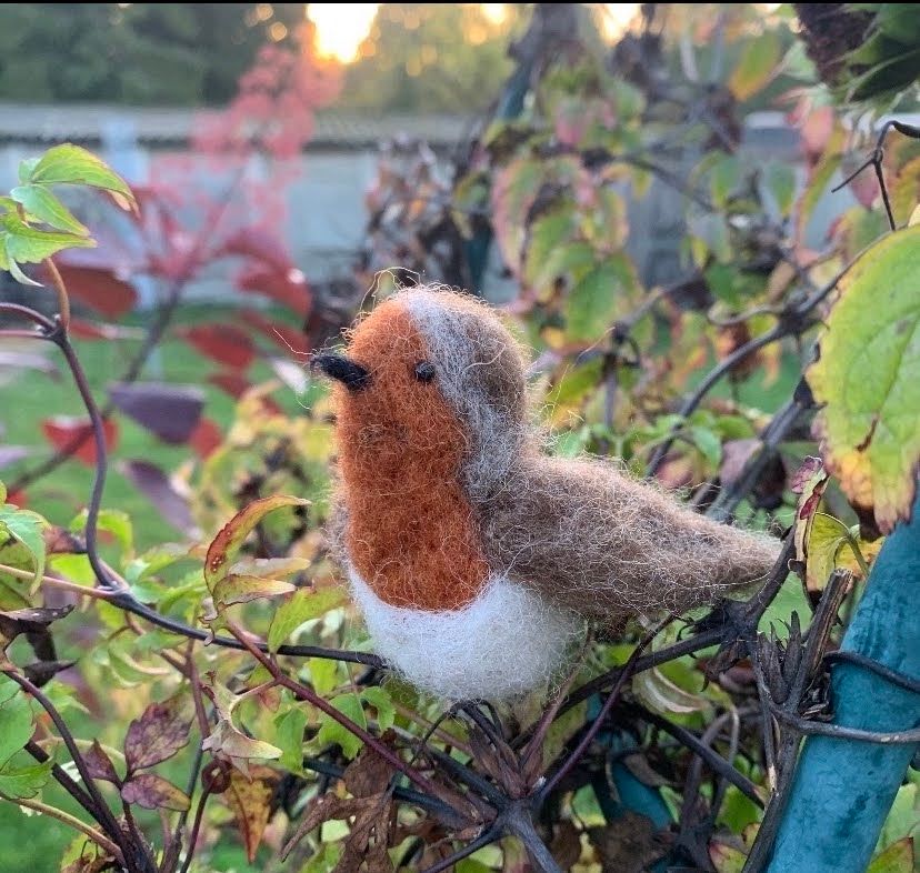 Needle Felted Robin - Taster workshop with Eve Marshall