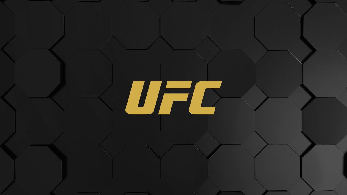 UFC 312