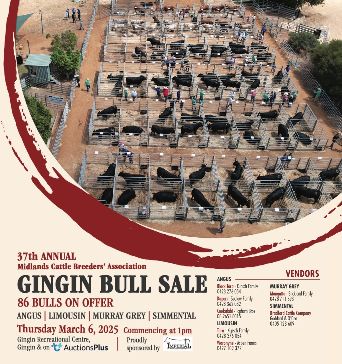 2025 Gingin Bull Sale