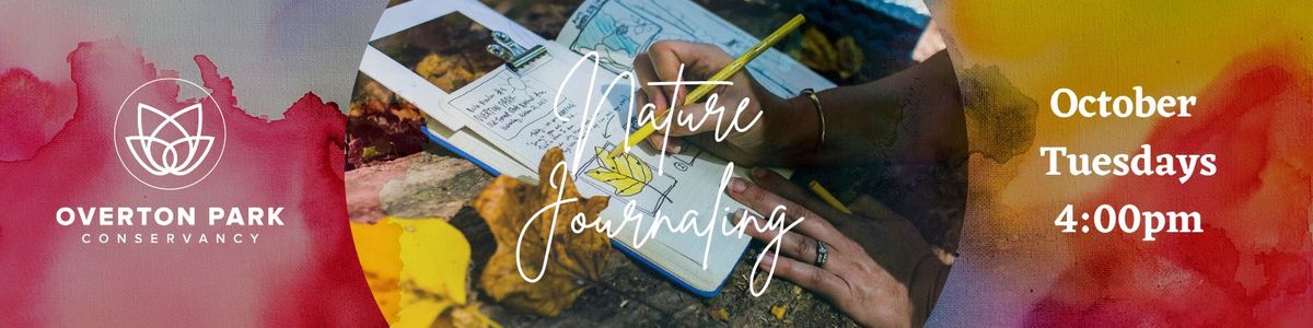 Nature Journaling at Overton Park