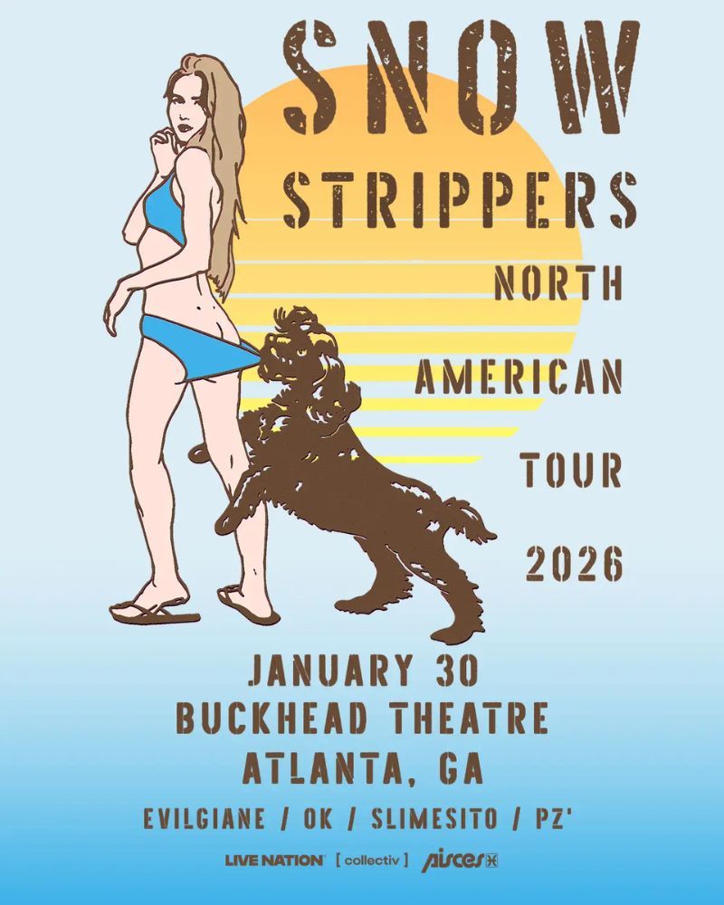 Snow Strippers