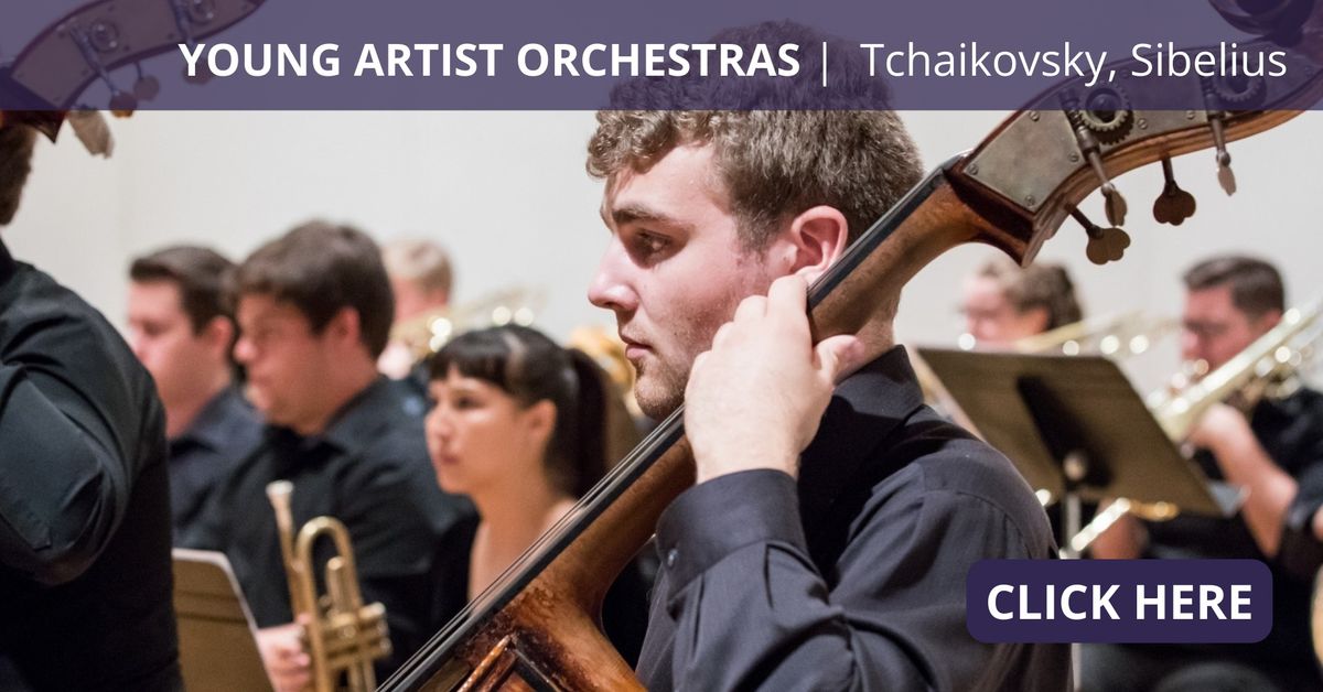 Young Artist Orchestras 4 - Tchaikovsky, Sibelius