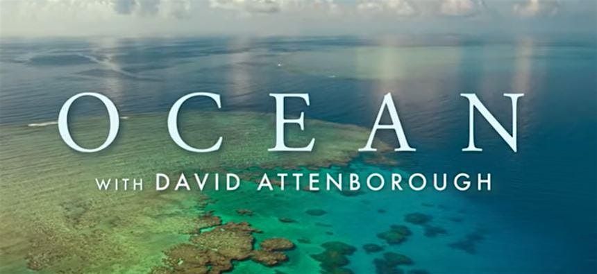 Screening of David Attenborough's Ocean documentary (free)