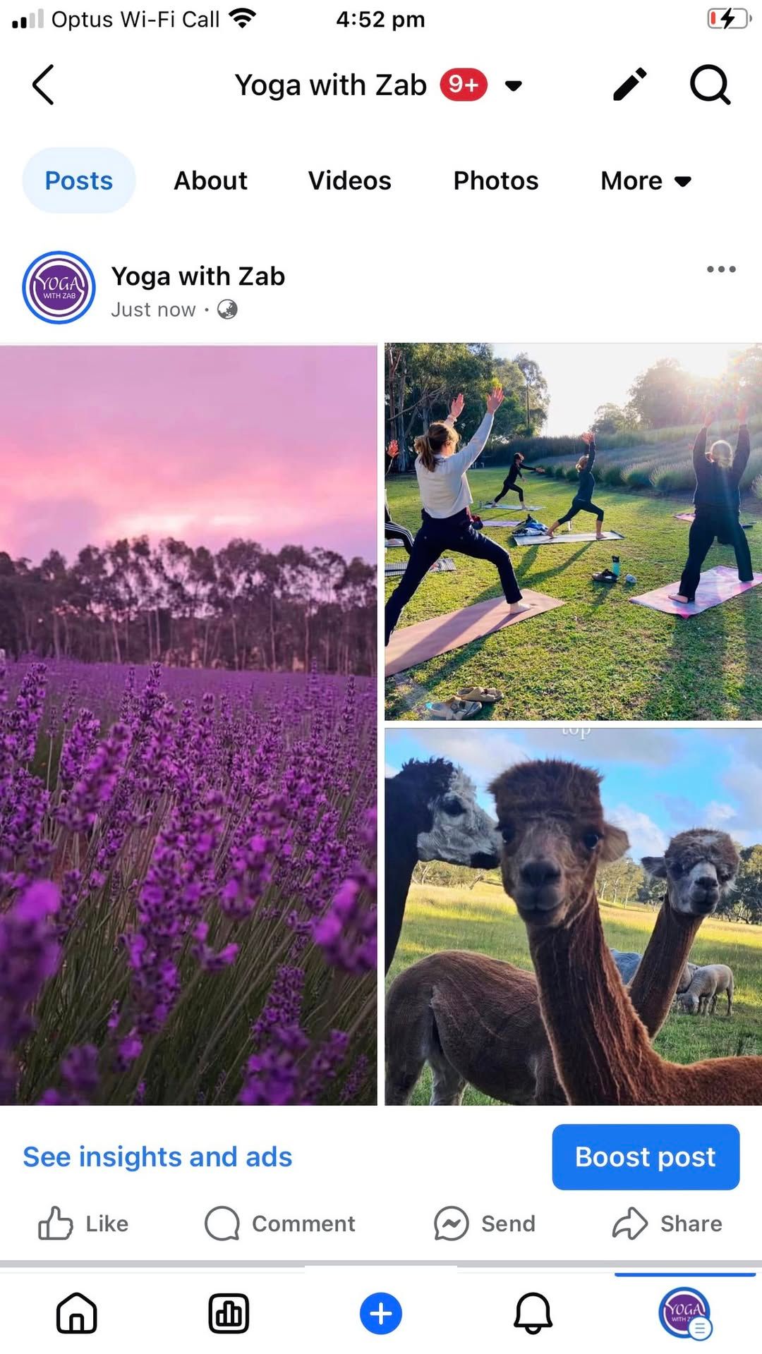 LAVENDER BLOOM FESTIVAL YOGA