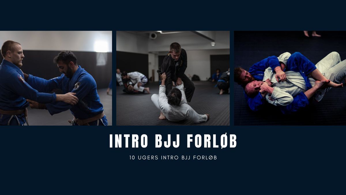 Opstart af nyt intro forl\u00f8b i BJJ d. 3 Februar 2025