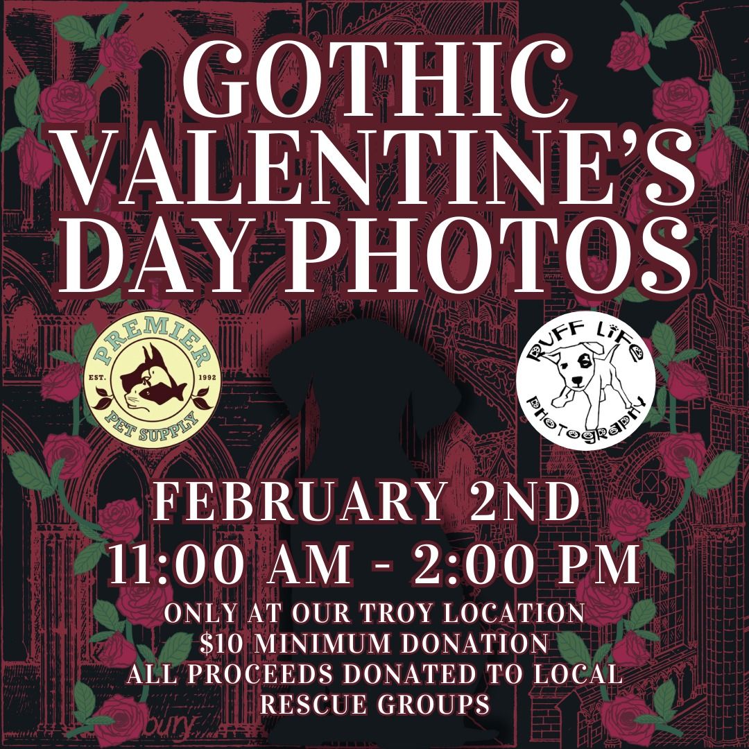 Gothic Valentine's Pet Photos W\/ Ruff Life Photography!