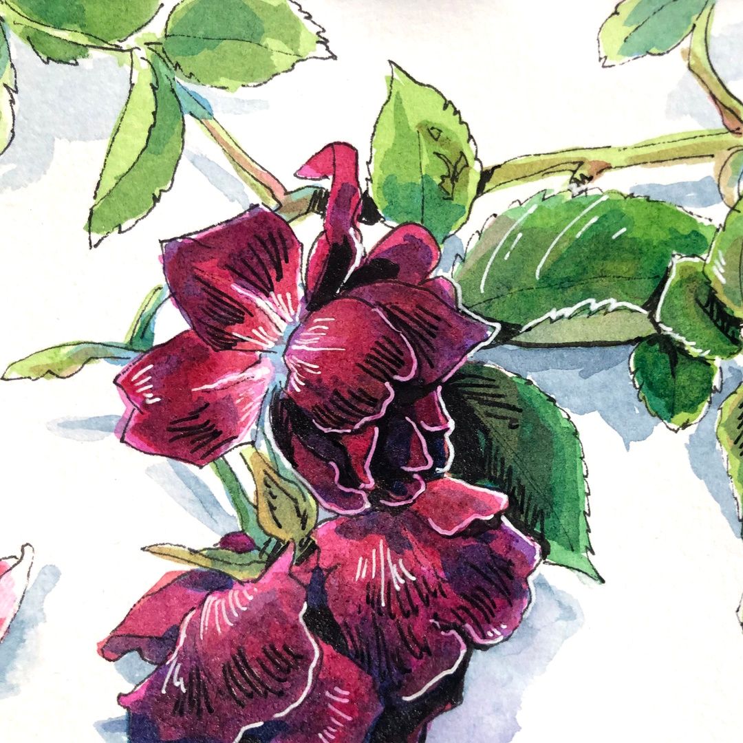 Flowers in Ink with Jessica Riese