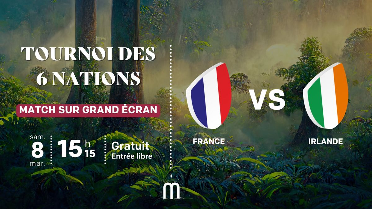 Tournoi des 6 Nations France - Irlande