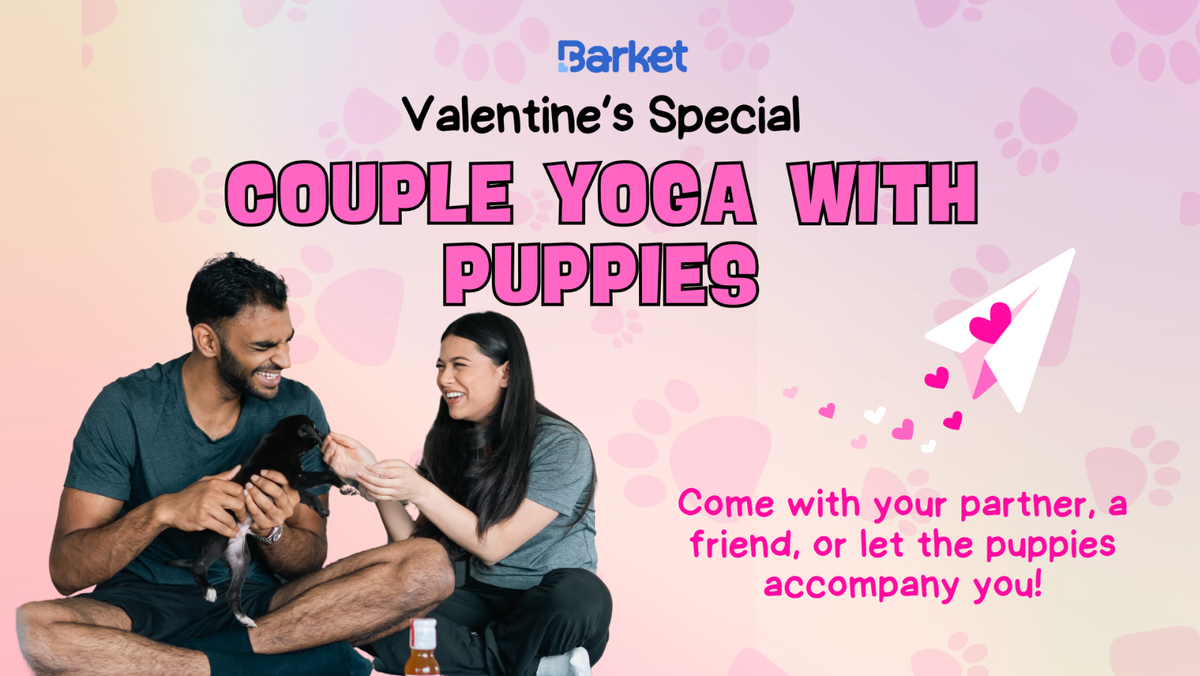 Valentine\u2019s Special \u2013 Puppy Yoga