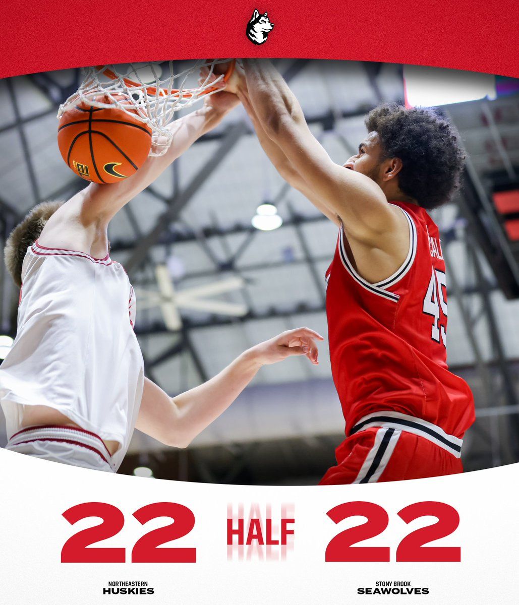 Northeastern Huskies at Stony Brook Seawolves Mens Basketball at Island Federal Credit Union Arena